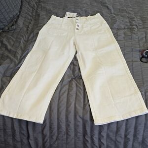 Womens Cream Wide Leg Pant Sz 8 Nwt